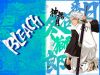 Filename=bleach-wallpaper-1626.jpg
Filesize=481KB
Dimensions=1024x768
Date added=Jun 16, 2007 bleach-wallpaper-1626.jpg