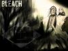 Filename=bleach-wallpaper-1665.jpg
Filesize=335KB
Dimensions=1024x768
Date added=Jun 16, 2007 bleach-wallpaper-1665.jpg