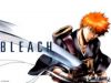 Filename=bleach-wallpaper-1781.jpg
Filesize=309KB
Dimensions=1024x768
Date added=Jun 16, 2007 bleach-wallpaper-1781.jpg