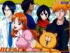 bleach-wallpaper-1786.jpg
