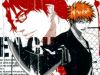 bleach-wallpaper-1789.jpg