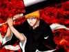 bleach-wallpaper-1852.jpg