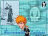 bleach-wallpaper-1853.jpg