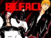 bleach-wallpaper-1874.jpg