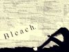 bleach-wallpaper-1917.jpg