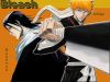 bleach-wallpaper-2009.jpg