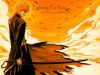 Filename=bleach-wallpaper-2043.jpg
Filesize=404KB
Dimensions=1024x768
Date added=Jun 16, 2007 bleach-wallpaper-2043.jpg