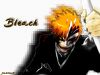 Filename=bleach-wallpaper-2125.jpg
Filesize=249KB
Dimensions=1024x768
Date added=Jun 16, 2007 bleach-wallpaper-2125.jpg