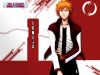 bleach-wallpaper-2206.jpg