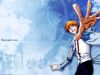 bleach-wallpaper-2395.jpg