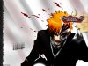 bleach-wallpaper-2632.jpg