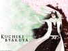 bleach-wallpaper-2683.jpg