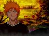 bleach-wallpaper-2830.jpg