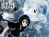 bleach-wallpaper-2847.jpg