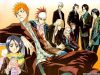 Filename=bleach-wallpaper-2865.jpg
Filesize=318KB
Dimensions=1024x768
Date added=Jun 16, 2007 bleach-wallpaper-2865.jpg