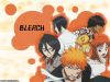 Filename=bleach-wallpaper-2905.jpg
Filesize=210KB
Dimensions=1024x768
Date added=Jun 16, 2007 bleach-wallpaper-2905.jpg