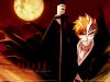 Filename=bleach-wallpaper-2949.jpg
Filesize=146KB
Dimensions=1024x768
Date added=Jun 16, 2007 bleach-wallpaper-2949.jpg