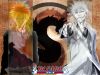 Filename=bleach-wallpaper-2951.jpg
Filesize=532KB
Dimensions=1024x768
Date added=Jun 16, 2007 bleach-wallpaper-2951.jpg