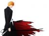 Filename=bleach-wallpaper-2955.jpg
Filesize=304KB
Dimensions=1640x1200
Date added=Jun 16, 2007 bleach-wallpaper-2955.jpg