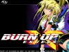 burn-up-series-002.jpg