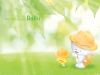 babu_01.jpg