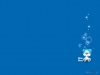 blue-bear-06.jpg