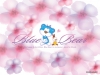 blue-bear-09.jpg