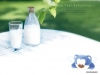 blue-bear-14.jpg