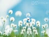 blue-bear-20.jpg