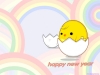chook001.jpg