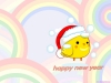 chook002.jpg