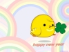 chook004.jpg