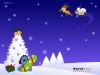 dog-n-cat_012.jpg
