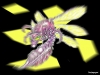 flash-art-017.jpg