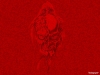 flash-art-021.jpg