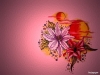 Filename=flash-art-026.jpg
Filesize=157KB
Dimensions=1024x768
Date added=May 27, 2007 flash-art-026.jpg