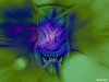 flash-art-071.jpg