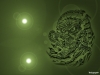 flash-art-087.jpg