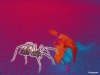 flash-art-100.jpg