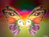 flash-art-103.jpg