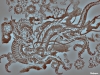 Filename=flash-art-121.jpg
Filesize=190KB
Dimensions=1024x768
Date added=May 27, 2007 flash-art-121.jpg