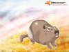 Filename=funny_cartoon_76.jpg
Filesize=136KB
Dimensions=1024x768
Date added=May 05, 2007 funny_cartoon_76.jpg