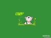 lucky_boy-16.jpg