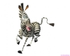 madagascar-07.jpg