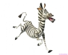 madagascar-09.jpg