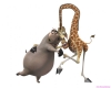madagascar-12.jpg
