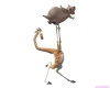 madagascar-13.jpg