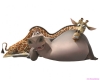 madagascar-14.jpg