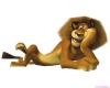 madagascar-18.jpg