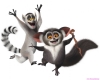 madagascar-22.jpg